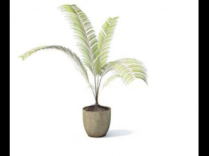 flower pot 2 3D Model