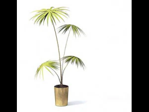 flower pot 2 3D Model