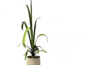 flower pot 2 3D Model