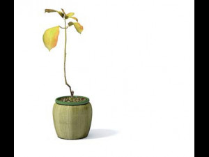 flower pot 3 3D 模型