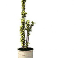 flower pot 3 3D Model