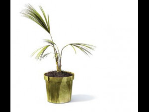 flower pot 3 3D Model