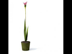 flower pot 3 3D Model