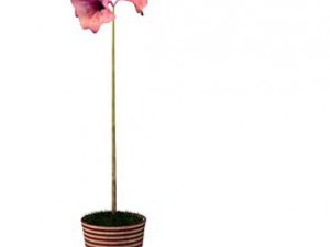flower pot 3 3D Model