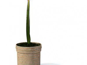 flower pot 4 3D मॉडल