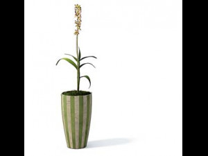 flower pot 4 Model 3D