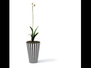 flower pot 4 Model 3D