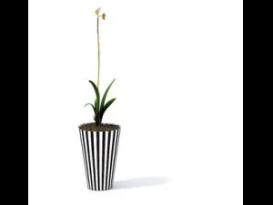 flower pot 4 3D Model