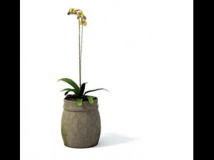 flower pot 4 Model 3D