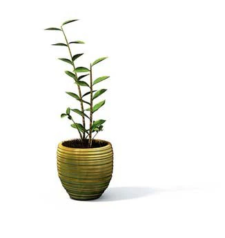 flower pot 5 3D Model .c4d .max .obj .3ds .fbx .stl .blend 