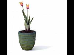 flower pot 5 3D मॉडल