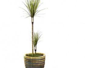 flower pot 5 3D मॉडल