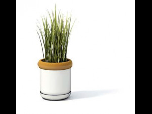 flower pot 5 3D मॉडल