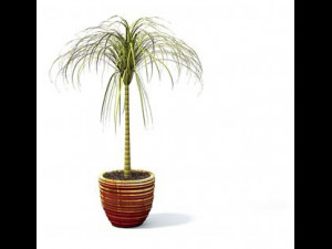 flower pot 6 3D मॉडल