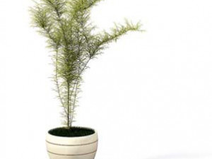 flower pot 6 3D मॉडल
