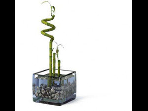 flower pot 6 3D मॉडल