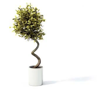 flower pot 7 3D Model .c4d .max .obj .3ds .fbx .stl .blend 