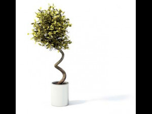 flower pot 7 3D मॉडल