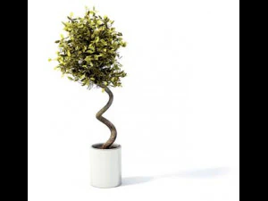 flower pot 7 3D Model