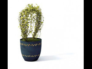 flower pot 7 3D मॉडल