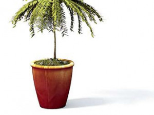 flower pot 7 3D मॉडल