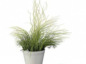 flower pot 7 3D Model
