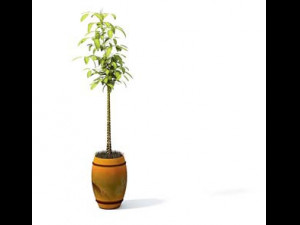 flower pot 7 3D मॉडल