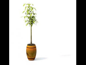 flower pot 7 3D Model