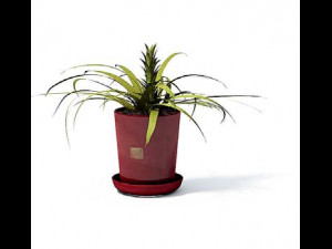 flower pot 8 3D मॉडल