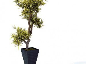 flower pot 8 3D मॉडल
