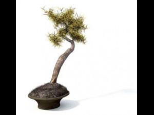 flower pot 9 3D Model