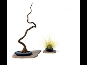 flower pot 9 3D मॉडल