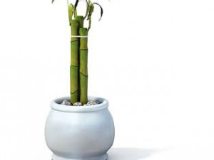 flower pot 9 3D मॉडल