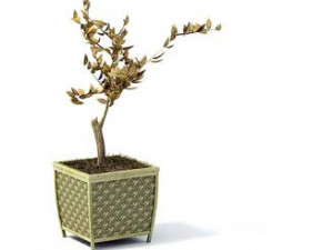 flower pot 10 Model 3D