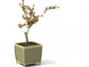 flower pot 10 3D Model