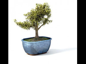 flower pot 10 Model 3D