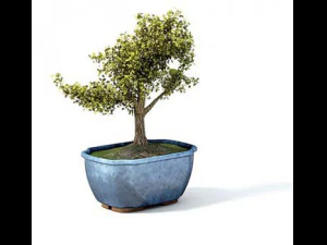 flower pot 10 3D Model