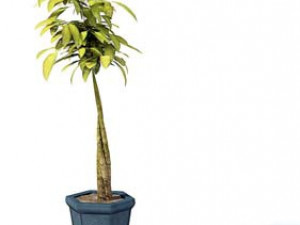 flower pot 11 3D मॉडल