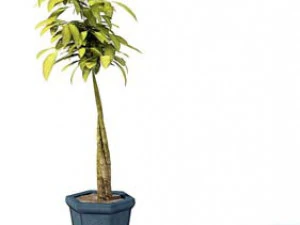 flower pot 11 3D Model