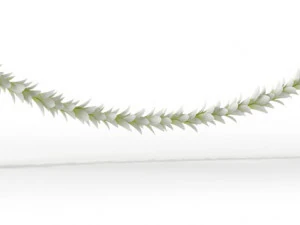 Kerstmis 4 3D Model