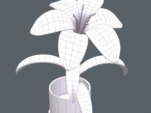lily in vase 3D Модель