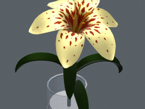 lily in vase 3D मॉडल