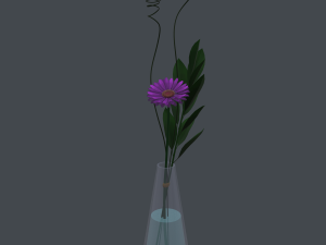 gerbera daisy in vase 3D मॉडल