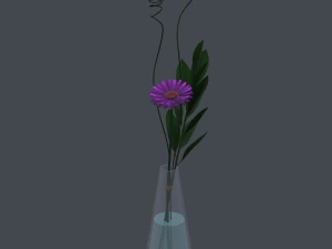 gerbera stokrotka w wazonie Model 3D