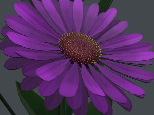 gerbera daisy in vase 3D मॉडल