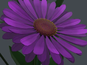 gerbera daisy in vase 3D Model