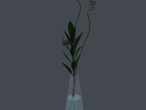 gerbera daisy in vase 3D Model