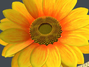 sunflower in cup 3D Model