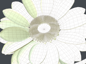 sunflower in cup 3D मॉडल
