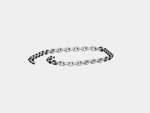 stanchion and stainless steel chain 3D मॉडल